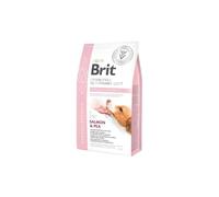 Brit Grain Free Veterinary Diet Perro Hipoalergénico Salmón con Guisantes 12kg + ¡Sorpresa gratis para el perro!