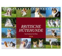 Britische Hütehunde - Treue Freunde auf vier Pfoten (Tischkalender 2026 DIN A5 quer), CALVENDO Monatskalender: In wunderschönen Fotos stellt uns die Tierfotografin die Hütehunde Großbritanniens vor