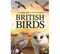 British Birds [3 DVD BOXSET] [Reino Unido]