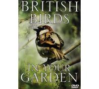British Birds In Your Garden – DVD (Reino Unido) – Delta