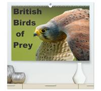 British Birds of Prey (High Quality Premium Wall Calendar 2027 DIN A2 landscape),CALVENDO 12 Month Wall Calendar: Birds of Prey found in the United Kingdom