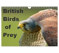 British Birds of Prey (Wall Calendar 2027 DIN A4 landscape), CALVENDO 12 Month Wall Calendar: Birds of Prey found in the United Kingdom