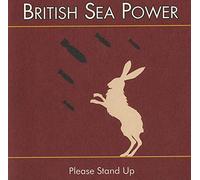 British Sea Power - PLEASE STAND UP