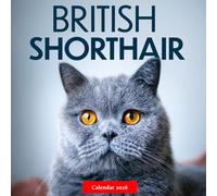 British Shorthair 2026 Calendar: Charming British Shorthair Cats in Stunning Photography - A Year of Feline Elegance and Calm