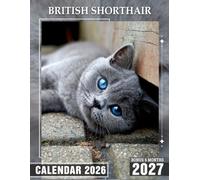 British Shorthair Calendar 2026 2027: Adorably Stocky Cats with Squishy Faces Creating a Sense of Calm in Every Planning Moment