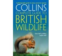 British Wildlife