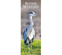 British Wildlife Slim Calendar 2026 Slimline Calendar - 12 Month