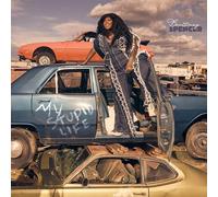 Britney Spencer - My Stupid Life (CD)