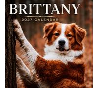 Brittany Calendar 2027: Dog Breed Photography