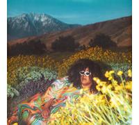 Brittany Howard WHAT NOW (Vinyl) 12" Album Coloured Vinyl