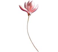 Broch Men Wedding Party Jewelry Cobre Pink Hot Magnolia Flor de loto Broches Broches Top Mujeres pulidas Bouquet Broche de boda Pins