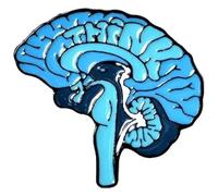 Broche anatómico de costilla con flor de corazón, Klein, Metal no precioso