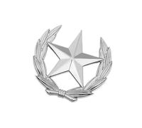 Broche artístico con símbolo de cosecha, estrella de metal, emblema de trigo, decoración elegante, broche para ropa y bolsos, insignia vintage moderna