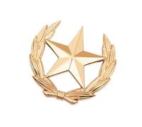 Broche clásico de gavilla de trigo con estrella de metal, versátil joyería, acento de estrella de trigo, broche para mejorar el atuendo, broche minimalista con símbolo de cosecha, Large, como se