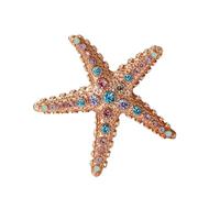 Broche con cristales de estrellas de mar para mujer, versátil, joyería de moda, regalo, fiesta, uso diario, playa, vacaciones, talla única, como se describe