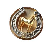 Broche con forma de herradura, símbolo de acero inoxidable, para ocasiones de viaje, broche de herradura vintage, símbolo de la suerte, acero inoxidable, cabeza de caballo dorada, halos de, diseño