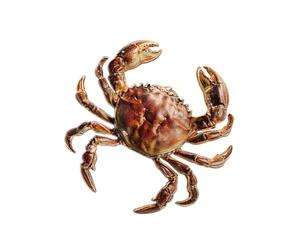 Broche conmemorativo de aniversario ajustable, elegante, que combina lo deportivo con la estética patrimonial, Pin con revestimiento de aleación de Metal
