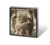 Broche cuadrado de esmalte Cat Power Snowy Mountain, insignias decorativas para sombreros, ropa, bolsos, accesorios, regalos y manualidades.