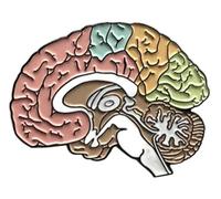Broche de esmalte: cerebro neurología joyería mochila insignia, Klein, Metal no precioso