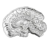 Broche de esmalte: cerebro neurología joyería mochila insignia, Klein, Metal no precioso