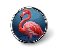 Broche de flamenco personalizado de 1 pulgada, insignia vintage para bolsos, sombreros, chaquetas, mochilas, trajes, camisas, ropa, decoración, colección de joyas, regalos para mujeres y hombres (red