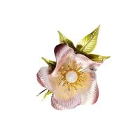 Broche de flor refinado Construcción de aleación Accesorios elegantes Pintura Flores Fiesta Conferencia Viaje Flores, フリーサイズ