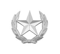 Broche de metal con orejas de trigo y estrella, pieza de joyería simbólica, pin de estrella de trigo para uso casual o formal, símbolo minimalista de cosecha, Small, como se describe