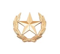 Broche de metal con símbolo de cosecha artística, emblemas de trigo y estrella, pin de decoración elegante para ropa y bolsas, S, como se describe