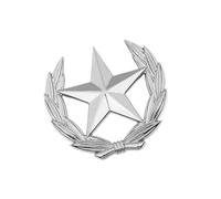 Broche de metal contemporáneo con tallo de trigo y estrella geométrica, emblemas de moda resistentes para uso diario, cosecha simbólica esperanza, Large, como se describe