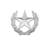 Broche de metal contemporáneo con tallo de trigo y estrella geométrica, emblemas de moda resistentes para uso diario, cosecha simbólica esperanza, Large, como se describe