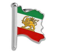 Broche de solapa de acero inoxidable con diseño de mapa de Irán, diseño de león y sol de Irán, joyería persa iraní vintage, One Size, Acero inoxidable, Sin piedra preciosa