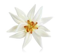 Broche esmaltado de flor de Edelweiss con diseño de ramillete para mujer, ligero y elegante, perfecto para regalar pastoral
