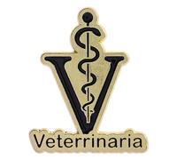 Broche minimalista con forma de varita de serpiente, superficies metálicas pulidas, accesorios para el día a día y estilo único, joyería retro con varita de serpiente, Einheitsgröße, como se describe