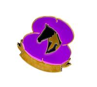 Broche para el Día de los Veteranos, broche de soldado - Pin de recuerdo de flores con texto en inglés "Lest We Forget", decoración para honrar a los héroes valientes, Refer to description, Zinc,