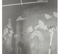 Broken Bone - Willowbrook [Vinilo]