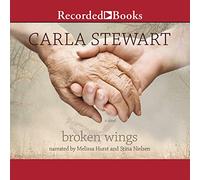Broken Wings: A Novel