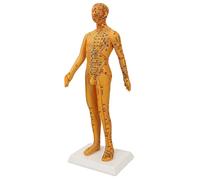 BROLEO Modelo de cuerpo de acupuntura, grabado de posición exacta, 53 cm, cuerpo humano, modelo de acupuntura para demostración para estudiantes
