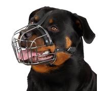 BronzeDog Bozal para Perro, Cesta de Alambre, Correas de Cuero Ajustables