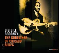 Bronzy, Bill -Big- - Godfather of Chicago Blue