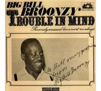 Broonzy Big Bill - Trouble in Mind
