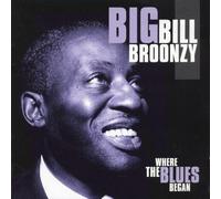 Broonzy,Big Bill - Where the Blues Began