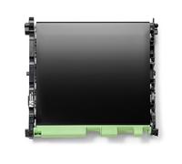 Brother - Correa de Transferencia Original f/MFC-L8970CDW, HL-L8570CDW, MFC-L8730CDW, HL-L8430CDW