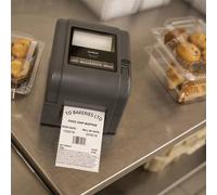 Brother TD-4520TN impresora de etiquetas Térmica directa / transferencia térmica 300 x 300 DPI 127 mm/s Alámbrico Ethernet