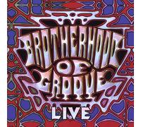 Brotherhood of Groove - Bog Live