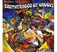 Brotherhood of Groove - Pocket Full of Funk
