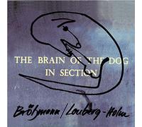 Brotzmann, Peter - Brain of the Dog in..