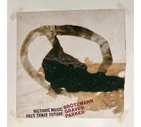 Brotzmann, Peter / Graves, Milford / Parker, William - Historic Music Past Tense Future [VINYL] [Vinilo]