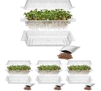 Browin 745748 Máquina de germinación de Semillas de rábano, máquina de germinación con colador de Drenaje, contenedor de germinación (Paquete de 4)