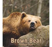 Brown Bear Calendar 2026: 14-Month Organizer from Nov 2025 to Dec 2026 | Perfect for Home, Office, School & Family Scheduling, For Men , Women , Girls , Boys