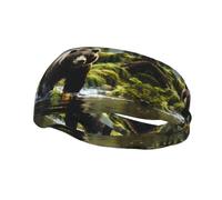 Brown Bear Pounce - Diadema elástica unisex para baloncesto, fitness, deportes, correr, ciclismo, yoga, absorbe el sudor,